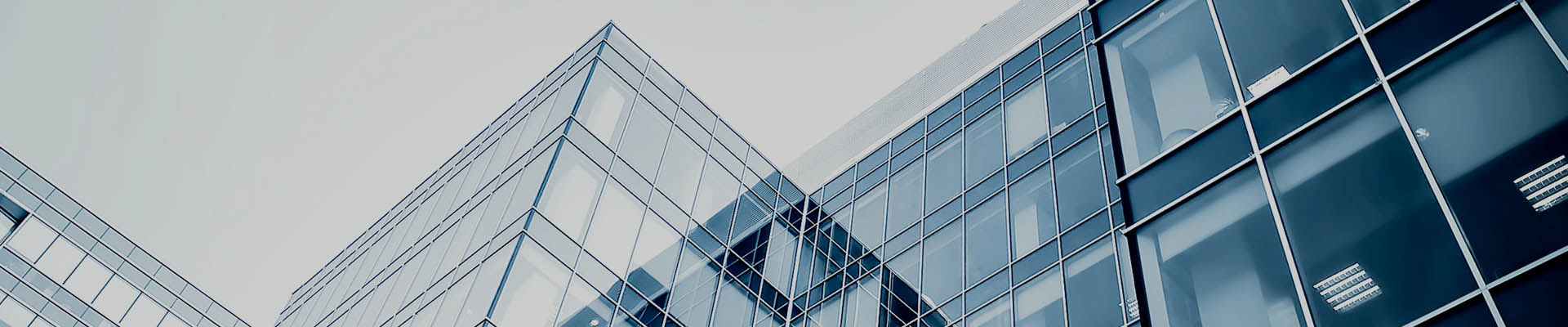 开云手机站官网